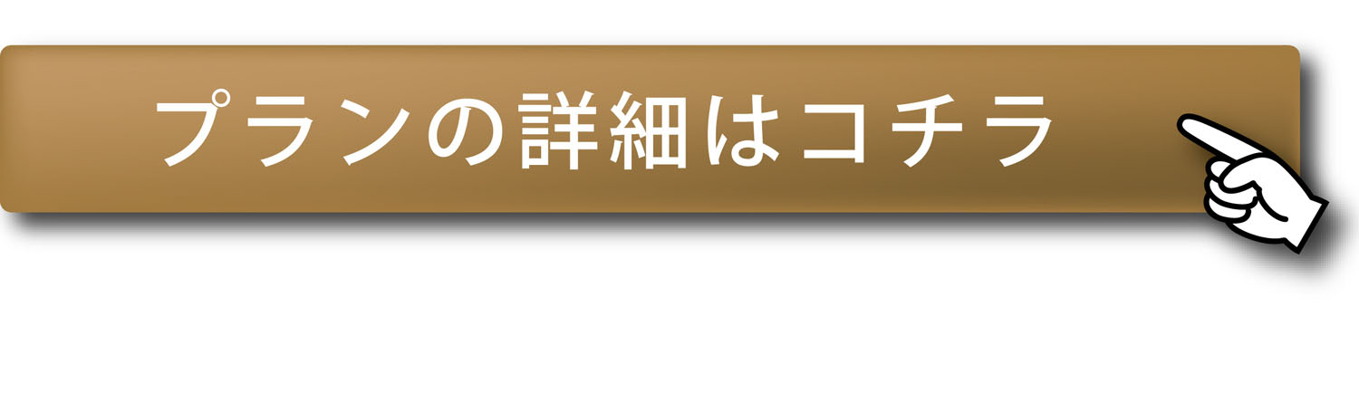 詳細はコチラ