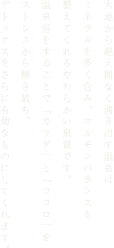 大地から絶え間なく湧き出す温泉はミネラルを多く含み、ホルモンバランスを整えてくれるやわらかい泉質です。温泉浴をすることで「カラダ」と「ココロ」をストレスから解き放ち、デトックスをさらに有効なものにしてくれます。